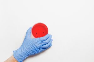 A blue-gloved hand holds a red culture dish against a plain white background