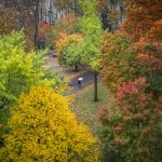 Tree-lined University of Pennsylvania campus walkway in autumn