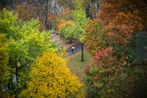 Tree-lined University of Pennsylvania campus walkway in autumn