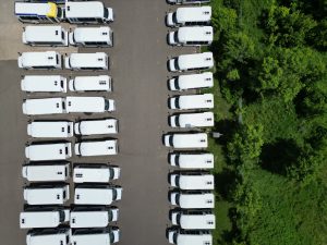 White buses are parked in rows beside a tree-lined lot